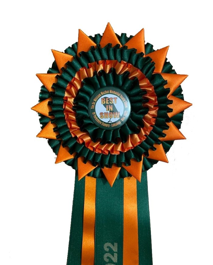 Best İn Show Awards Ribbon