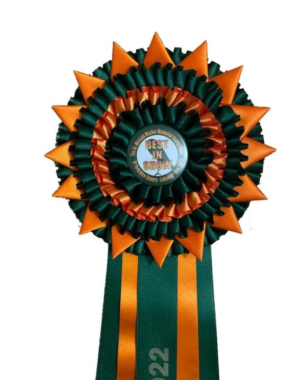 Best İn Show Awards Ribbon