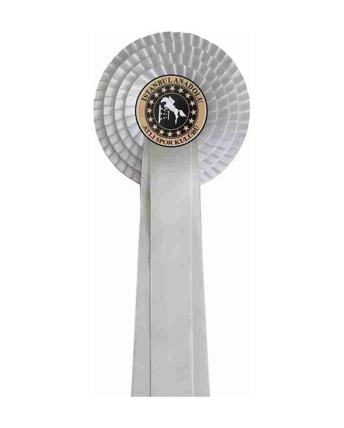 DÖRT SIRALI BİNİCİLİK KURDELESİ