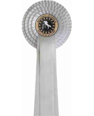 DÖRT SIRALI BİNİCİLİK KURDELESİ