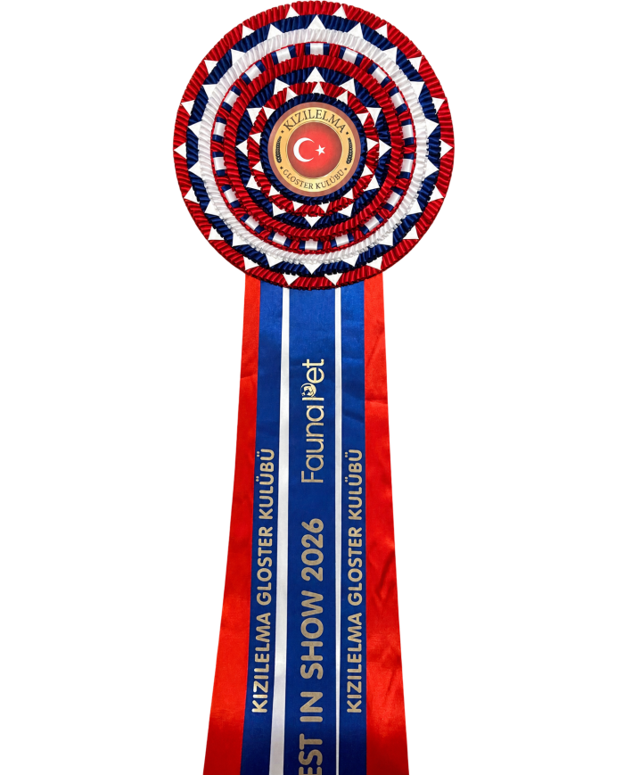 Best İn Show En Özel Ödül Kokart
